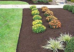 Mulched plant bed in an Australian garden